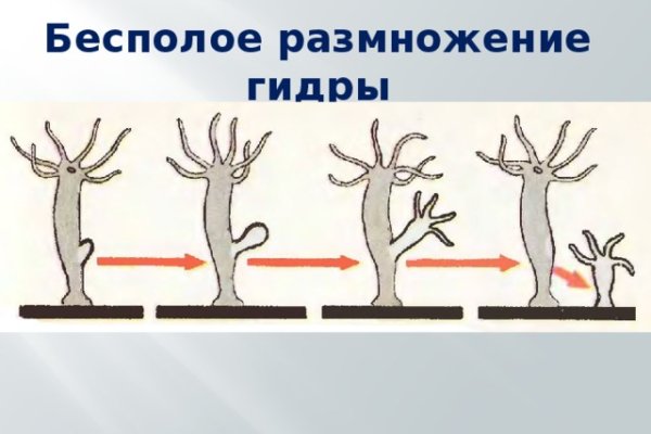 Кракен торговая kr2web in