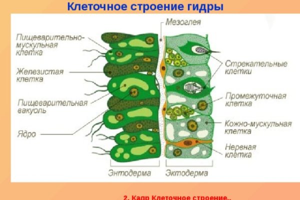 Кракен с айфона