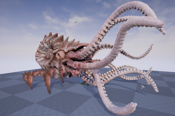 Kraken com whitenet