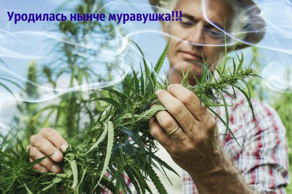 Кракен зеркало onion