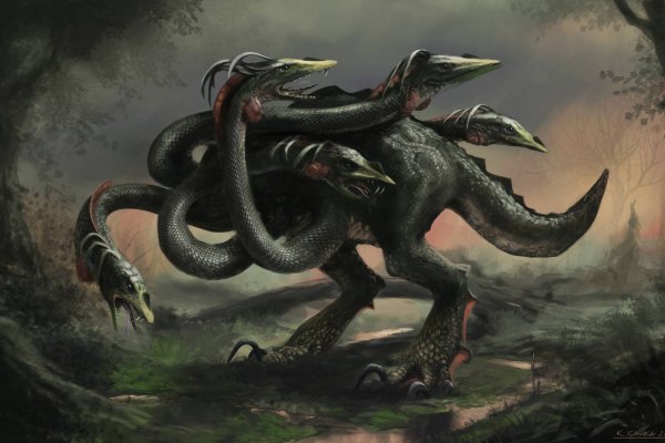 Www kraken 20at net