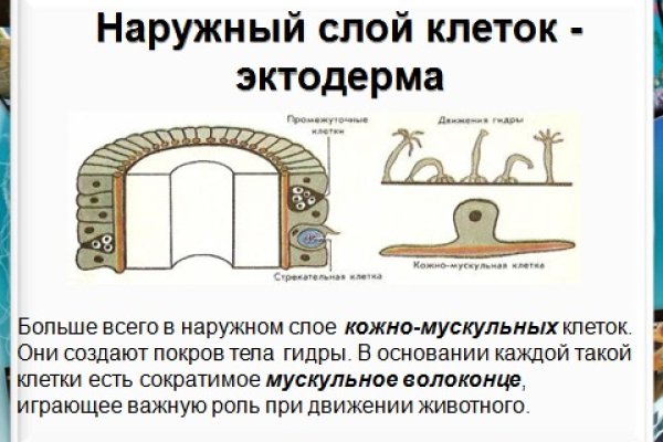 Кракен дарк сайт