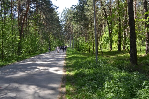 Вывести деньги с кракена