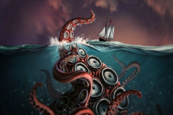 Kraken whitenet ссылка тор