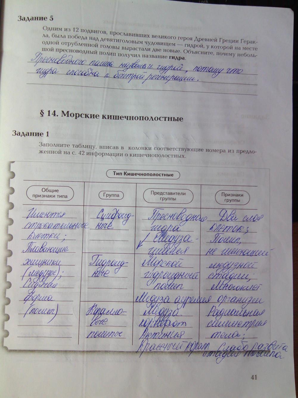 Рабочая ссылка на кракен